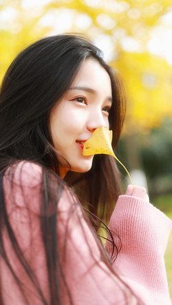 100款禁用软件权限管理界面